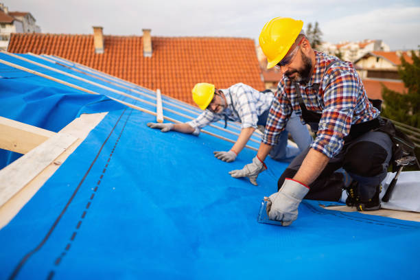 Best Storm Damage Roof Repair  in Asheville, NC