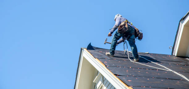 Best Metal Roofing Contractor  in Asheville, NC
